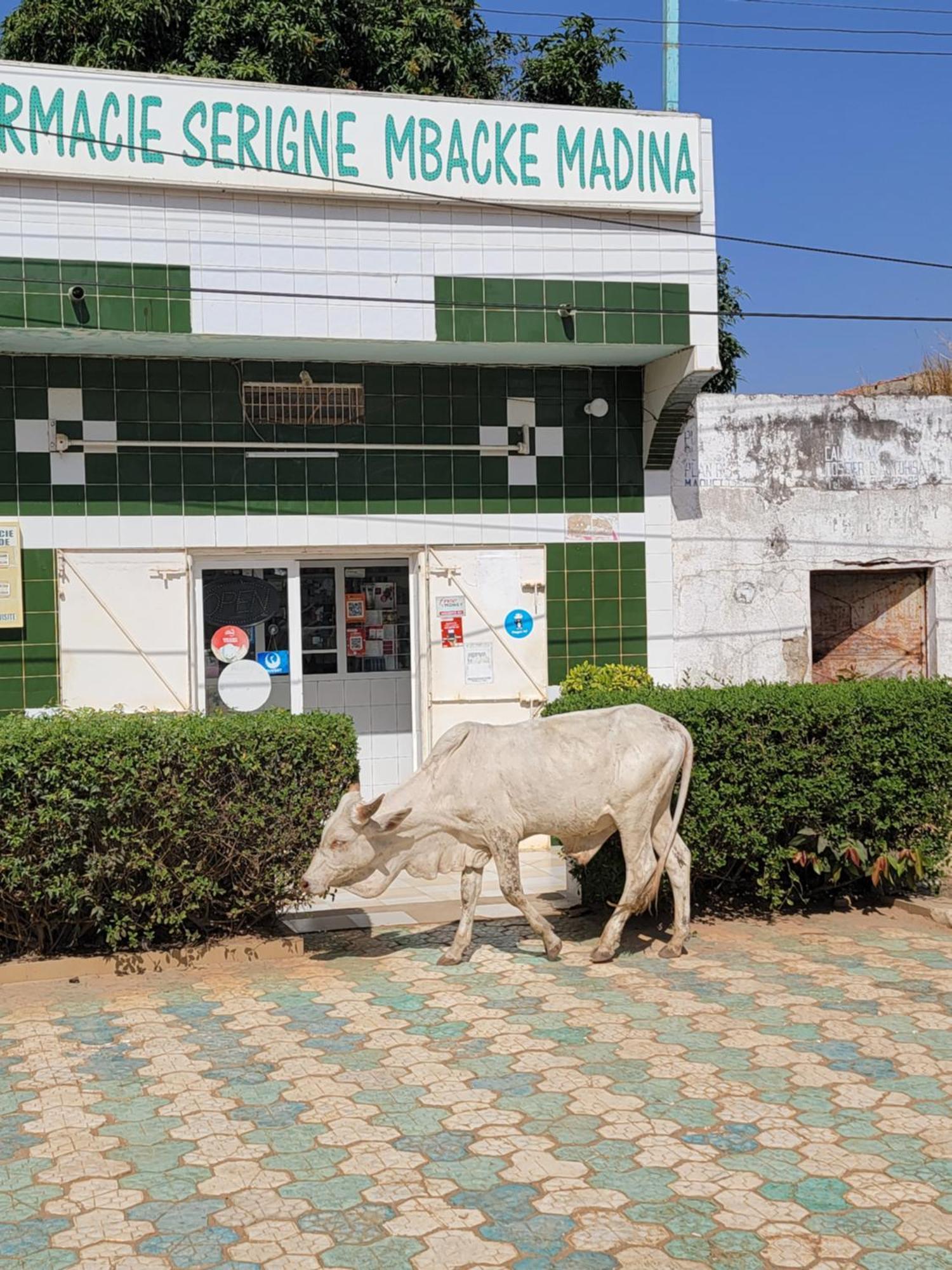 Le Dolmen De Mbour Apartment M'Bour Exterior photo